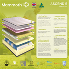 Mammoth Ascend, view 7