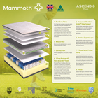 Mammoth Ascend, view 8