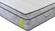 Load image into Gallery viewer, Mammoth Ascend