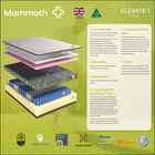 Mammoth Elevate, view 6