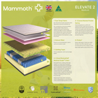Mammoth Elevate, view 7