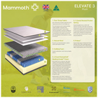 Mammoth Elevate, view 8