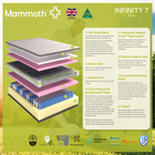 Mammoth Infinity, view 6