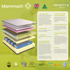Mammoth Infinity, view 7