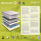 Mammoth Infinity, view 8