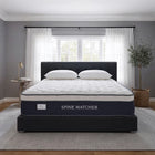 Spine Matcher Mattress, view 1
